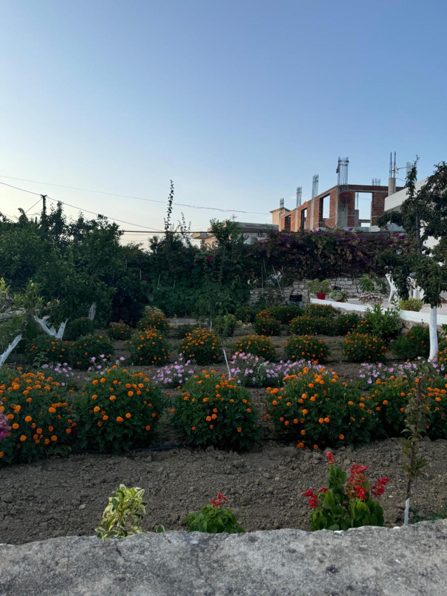 Teo Apartment Sarandë 외부 사진